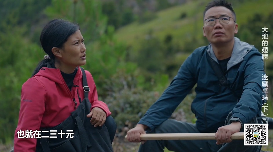 四川乡村振兴"网红"访谈:大地的翅膀一一迷藏卓玛(下)_本地_新闻首页